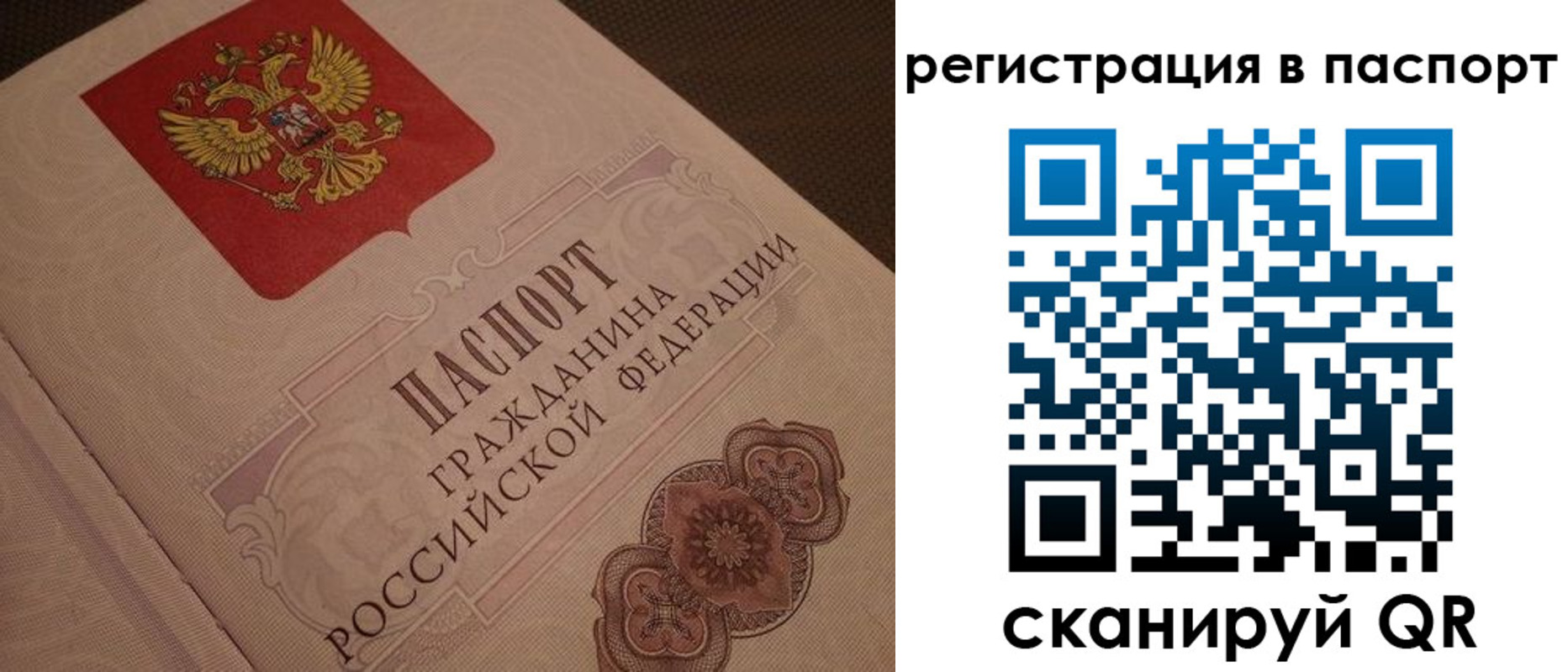 прописка законно в Саратове